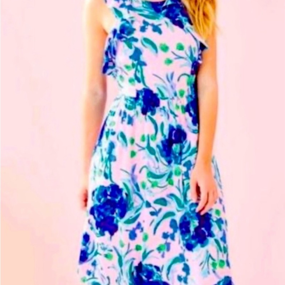 NWT Lilly pulitzer rory dress sweet pea, pink tropics